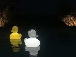 Goodnight Light Duck-Duck Lampe - Stor 7 Goodnight Light Duck-Duck Lampe - Stor -Lamper butik 3990 3def8eff 192d 4744 b606 4a12c5970138