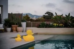 Goodnight Light Duck-Duck Lampe - Lille -Lamper butik 3990 4842d894 059c 4b93 9b62 7450325e6dbb