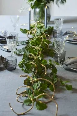 Sirius Knirke Reb M. Lys