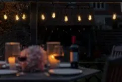 Lite Bulb Moments Smart LED Lyskæde - Vintage -Lamper butik 3990 9f25e22f 380d 4ccc 9caa 1f26e1baa714