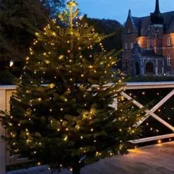 Sirius Knirke LED Lyskæde Til Juletræ