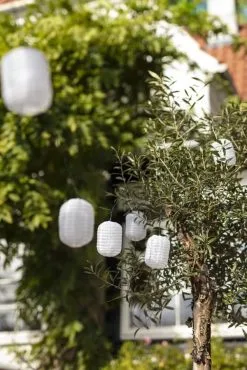 Casa Living Solcellelyskæde M. Rislamper -Lamper butik 3990 c34d09b9 9deb 46df ae26 247615cc8dc0