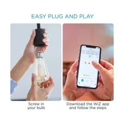WiZ Wi-Fi Filament Lyspære ST64 -Lamper butik 3990 cc16c3d7 2502 44a8 a9bc 291430d49a5b